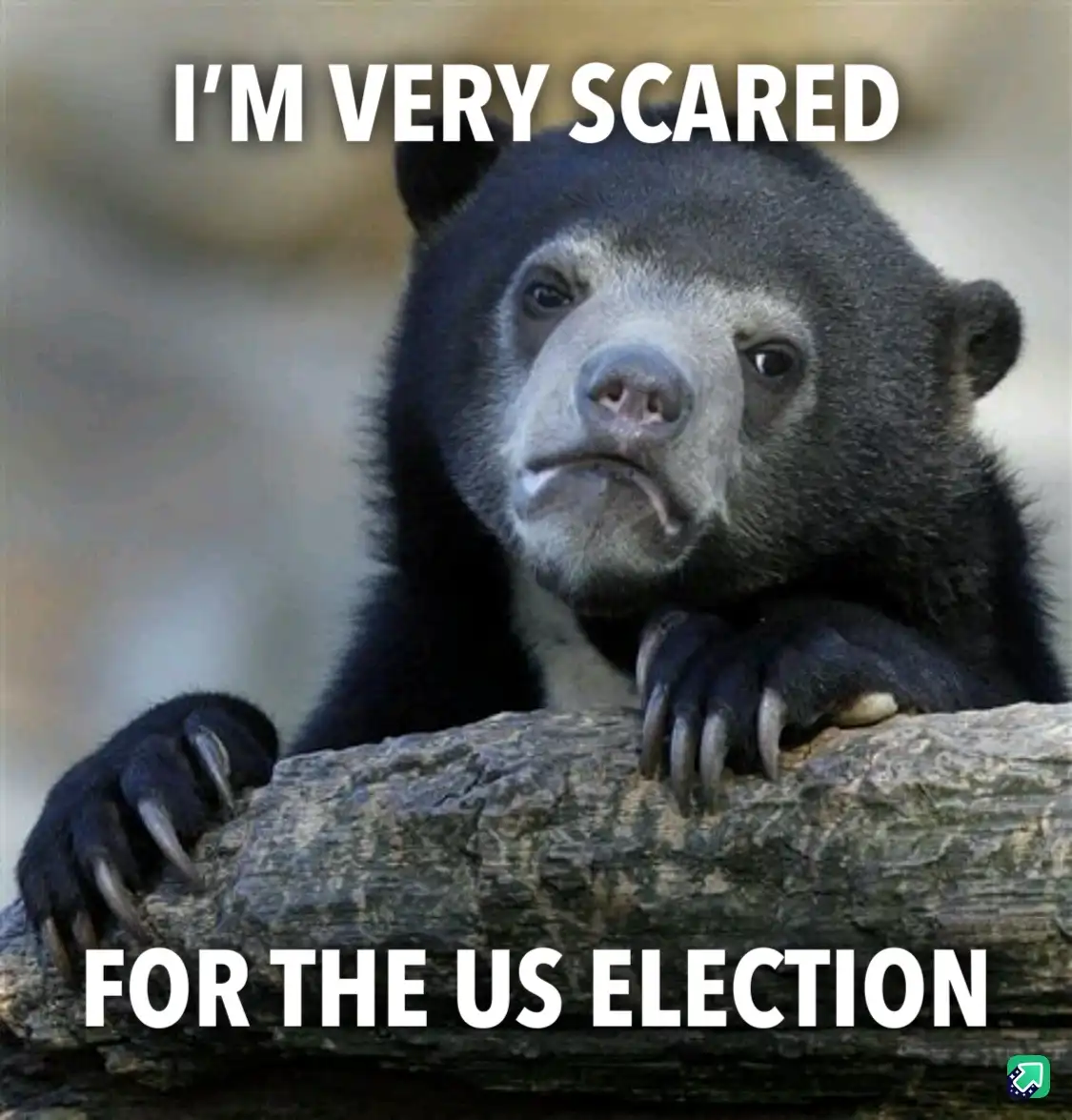A close-up photo of a spectacled bear with a worried, anxious expression, resting its paws on a log. White bold text…