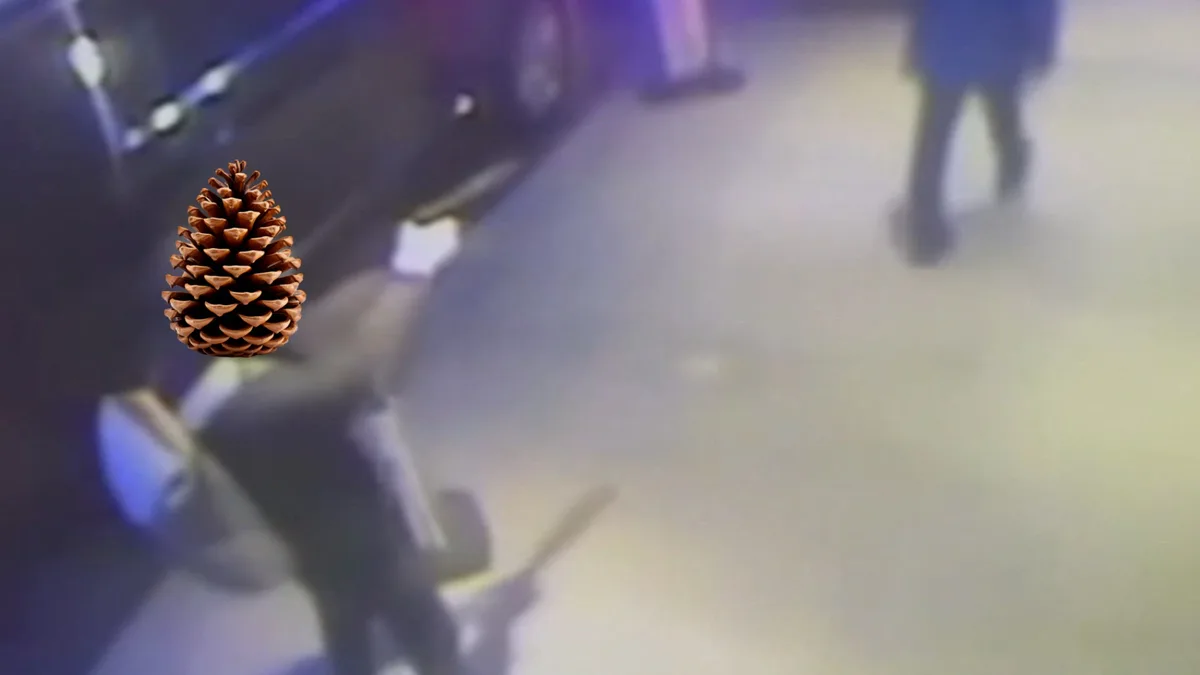 A blurry, low-resolution security camera image shows indistinct human figures and a car in the background, with a sharply…