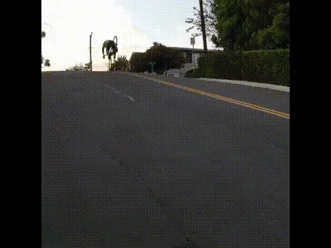Cruising in Style