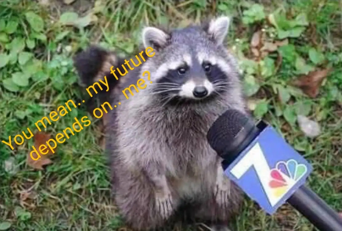 A raccoon sits upright in grass holding a microphone with the NBC logo, looking directly at the camera with a confused…
