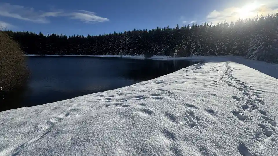 A snowy path with footprints leads toward a dark lake bordered by snow-covered evergreen trees under a bright blue sky with…