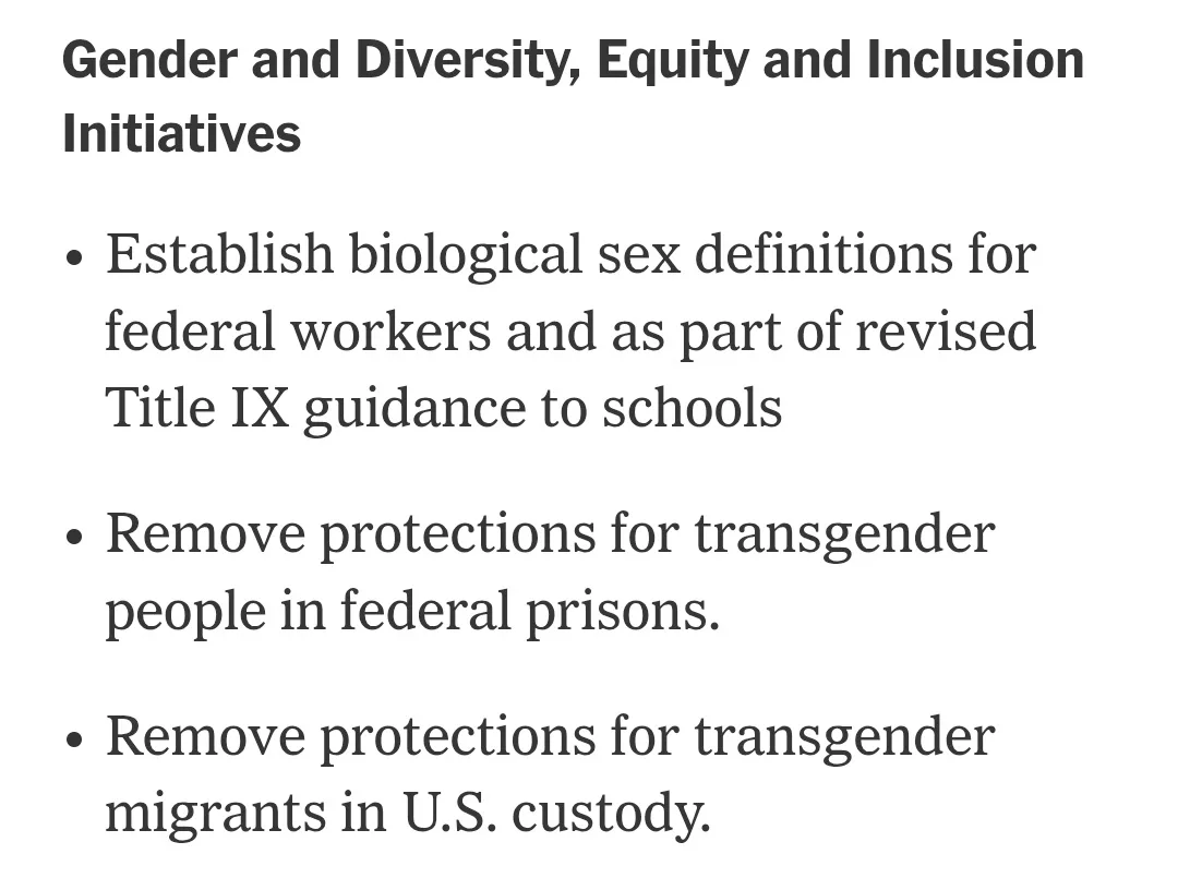 A plain white background displays a bulleted list titled 'Gender and Diversity, Equity and Inclusion Initiatives'. The list…
