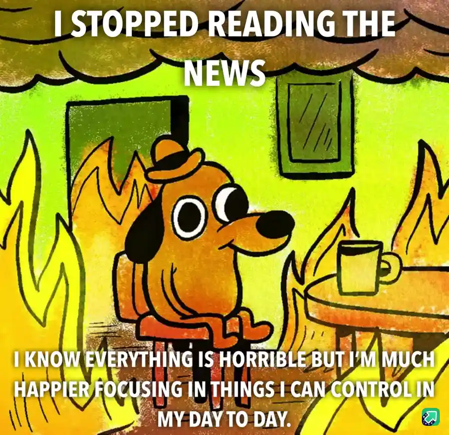 A cartoon dog wearing a hat sits calmly in a room engulfed in flames, holding a mug, with text overlaid stating 'I STOPPED…