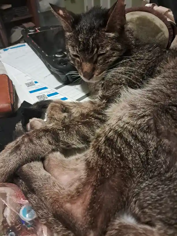 The Mysterious Jinxy Winky