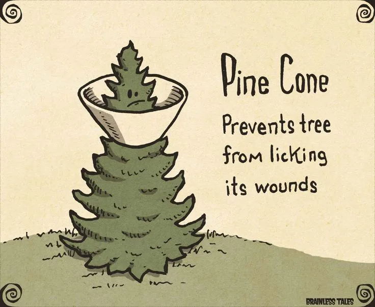 A hand-drawn cartoon depicts a green pine tree with a small, sad-looking pine cone sitting on top of its crown, as if…