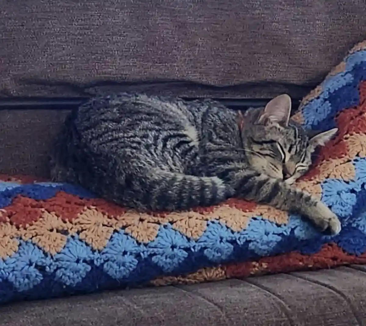 Meet Alvie: The Legend