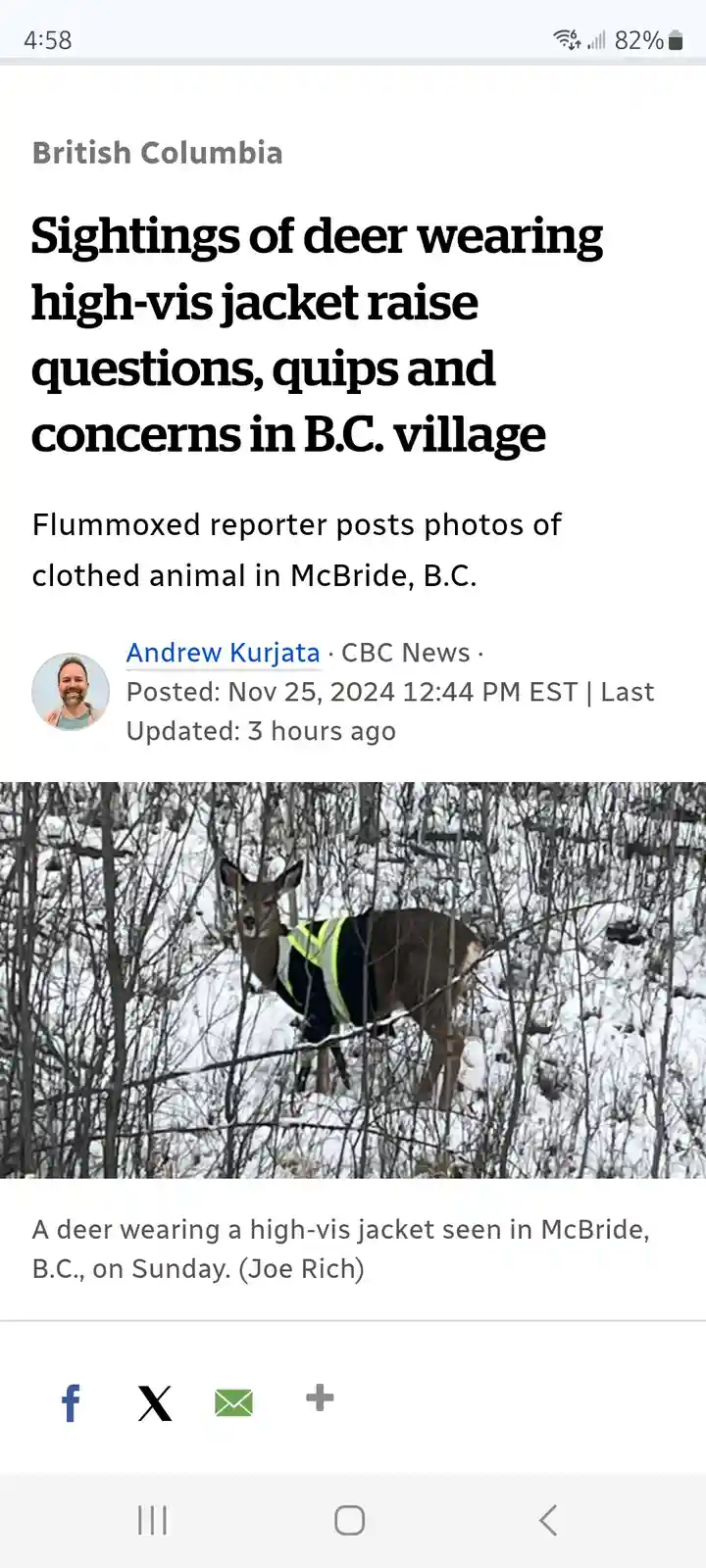 A news article screenshot from CBC News shows a deer standing in snowy woods wearing a bright yellow and black…
