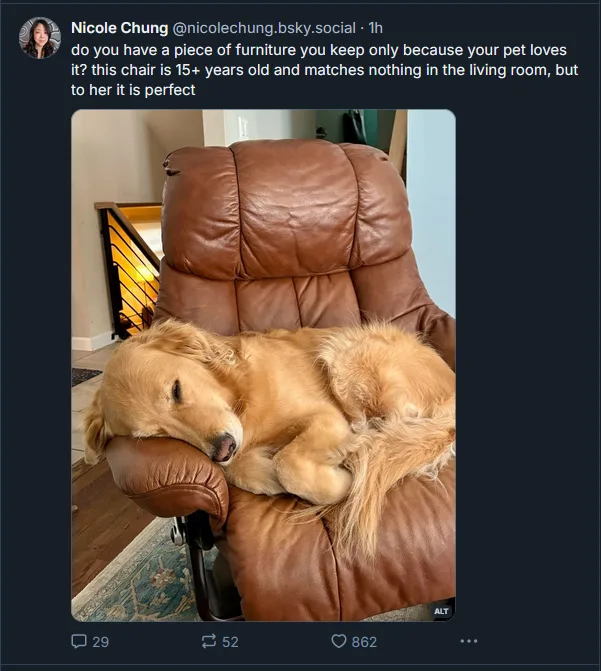A golden retriever is peacefully sleeping curled up on a large, brown leather recliner chair. The chair appears old and…