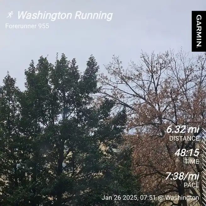 A screenshot from a Garmin Forerunner 955 running watch displays a workout summary over a photo of trees with green and…