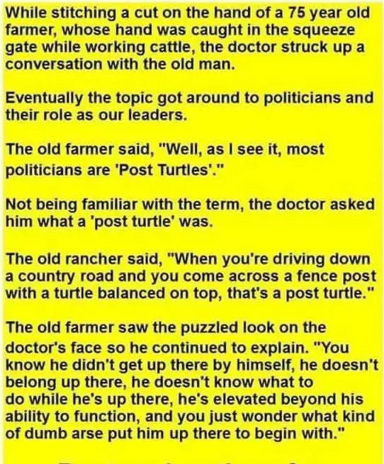 A bright yellow background with black text tells a story where a doctor asks a 75-year-old farmer for a metaphor for…