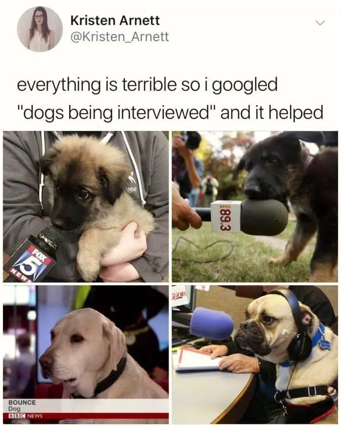 Volume 71: 20 Heartwarming Things to Lift Your Spirits
