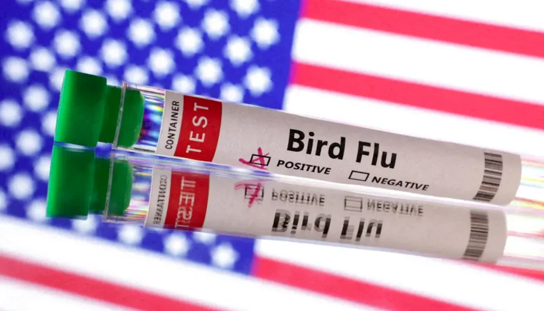 Two test tubes labeled 'Bird Flu' with 'POSITIVE' marked in red ink, set against a blurred American flag background. The…
