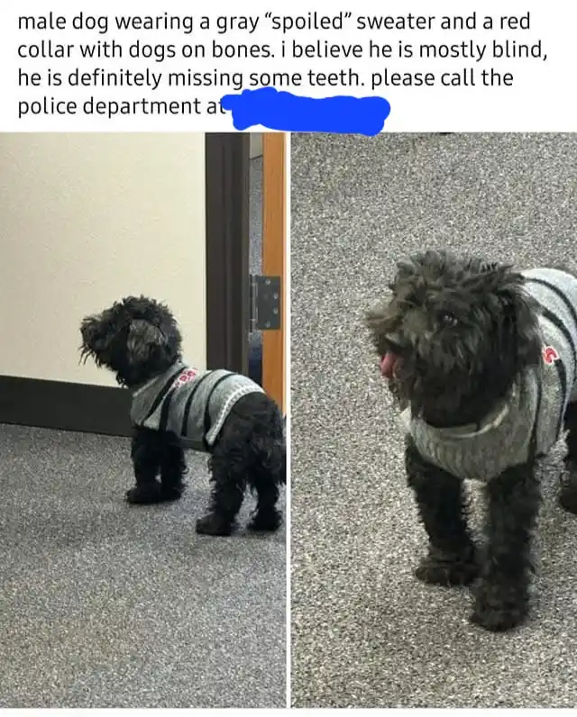 A Story Told in Two Pictures