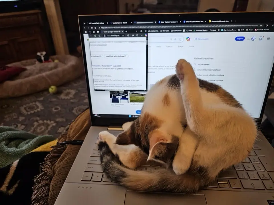 The Struggles of Working from Home: Why It's So Challenging