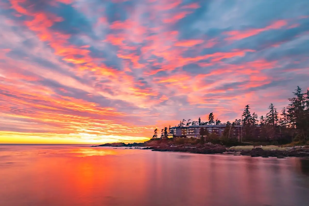A serene coastal sunset photo shows a multi-story building nestled among trees on a rocky shore, with vibrant pink, orange…
