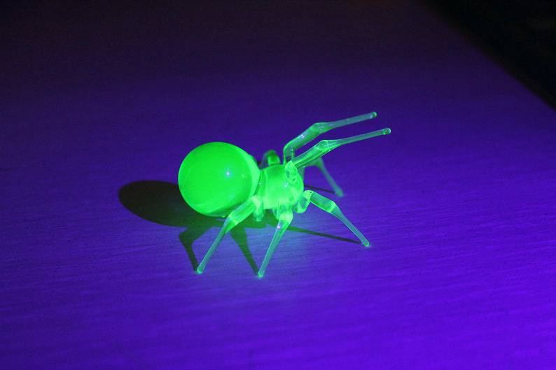 A small, translucent plastic spider toy glows bright green under blacklight on a purple surface, with text overlaid that…