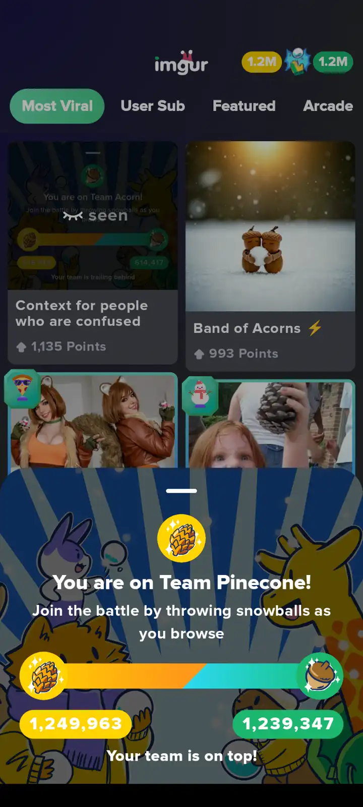 Keep Up the Great Work, Team Pinecone!