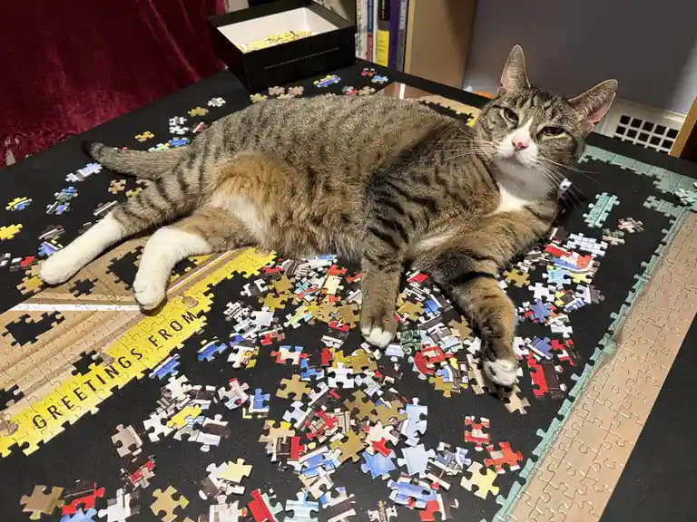 A tabby cat with white paws lies sprawled across a partially completed jigsaw puzzle on a black table, surrounded by…