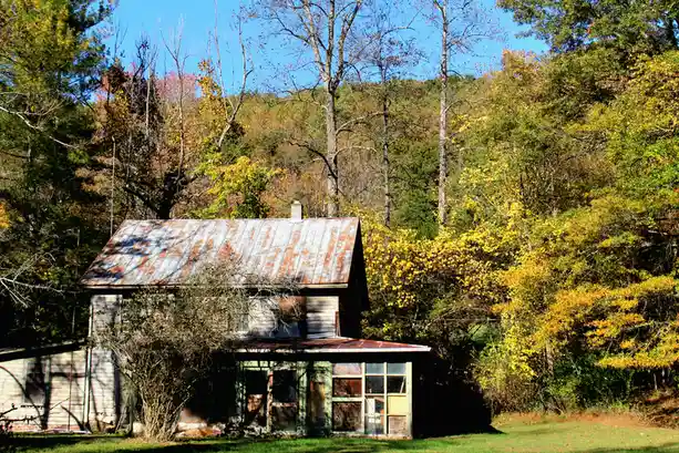 An old, dilapidated wooden house with a rusted metal roof sits in a grassy clearing surrounded by dense autumn trees with…