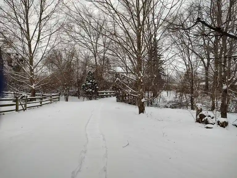 A snowy path winds through a winter forest with bare trees and a wooden fence on the left, showing clear footprints leading…