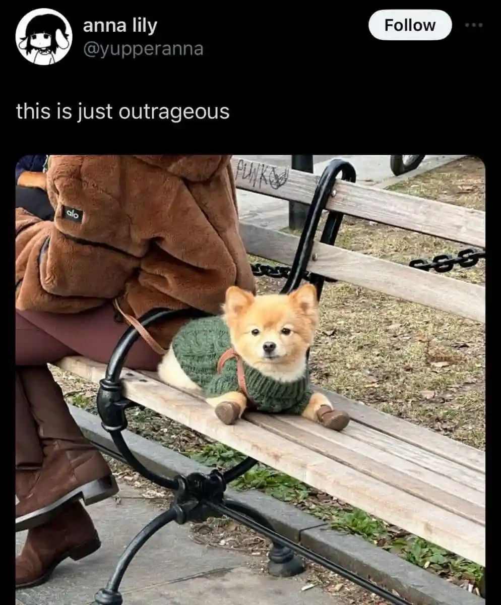 A small, fluffy, light brown dog wearing a green knitted sweater and brown booties sits on a wooden park bench next to a…