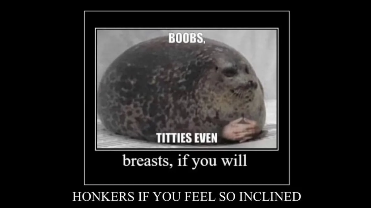 A round, spotted seal is shown sitting on snow, with a human hand placed over its chest area. The image has white text…