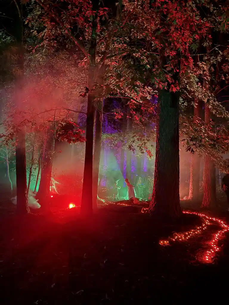 A nighttime forest scene with trees bathed in red, green, and purple lights, fog, and string lights on the ground. Two…