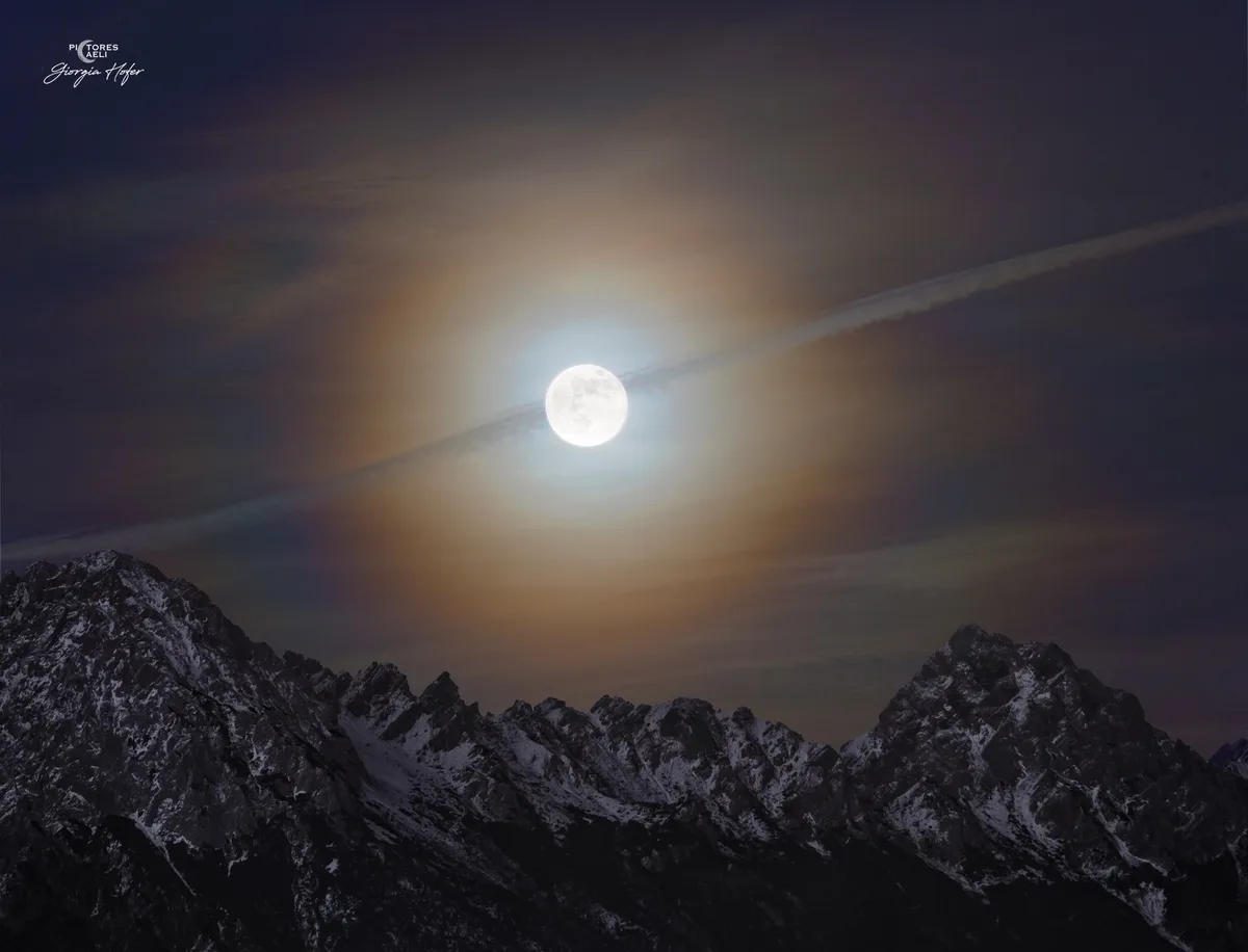 A Night Beneath the Enchanting Moon