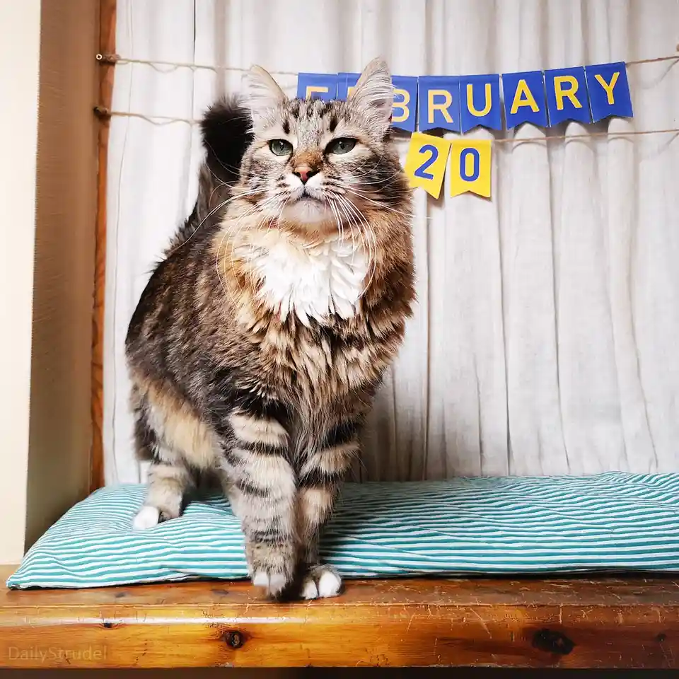 Mark Your Calendars: February 20
