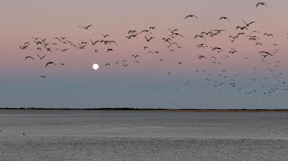 The Mystical Full Moon