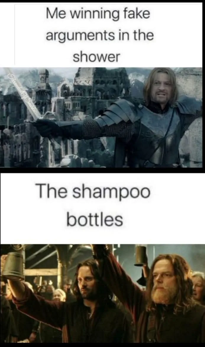 The meme features two images from 'The Lord of the Rings'. The top panel shows Aragorn in armor holding a sword, with the…