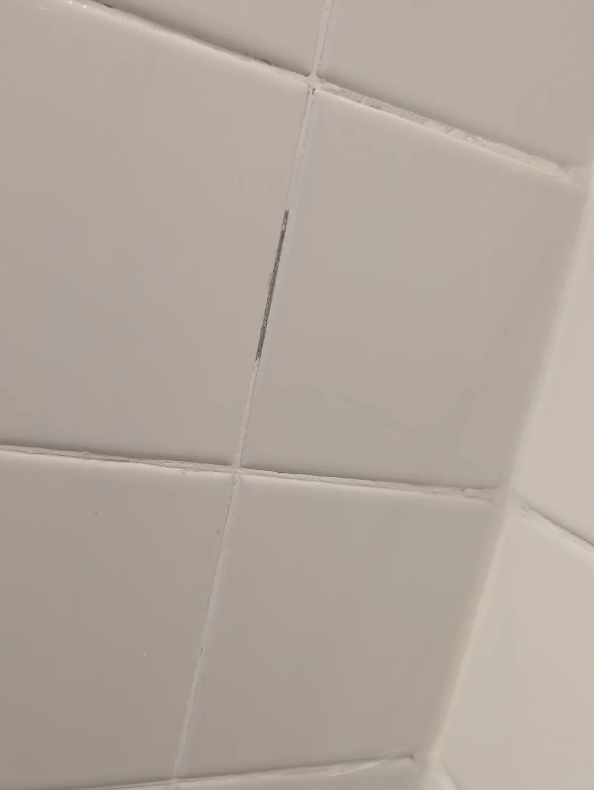A close-up photo shows white square bathroom tiles with visibly dirty, dark grout lines, especially one vertical line that…