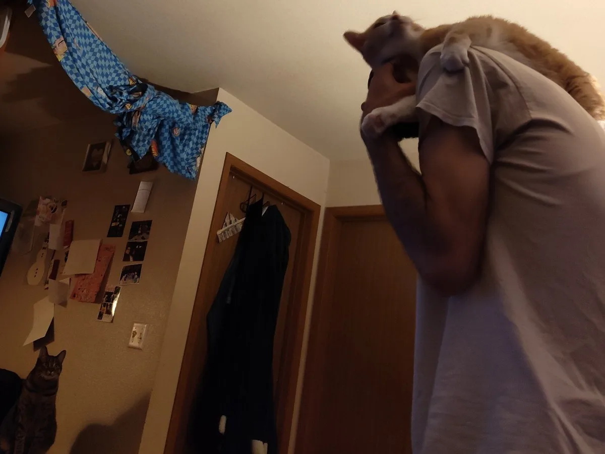 A person in a light-colored t-shirt is holding an orange and white cat that is nuzzling their face. In the background, a…