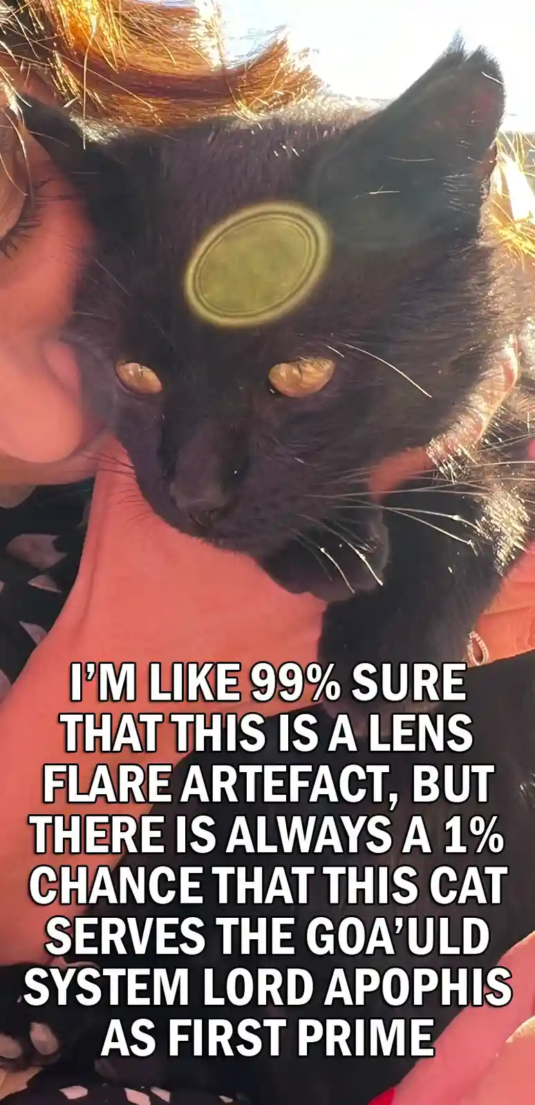 A close-up photo shows a black cat being held by a person, with a bright, circular lens flare artifact superimposed on the…