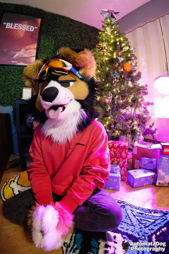 A person in a large, furry dog costume sits cross-legged on a rug in front of a decorated Christmas tree, wearing a red…