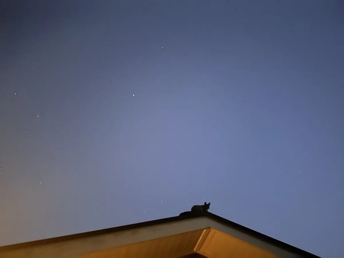 A dark silhouette of a cat is perched atop the peak of a roof against a twilight sky dotted with visible stars. The cat…