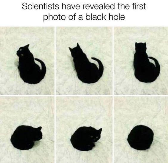 The image displays six panels arranged in a 2x3 grid, each showing a black cat on a light-colored textured surface. The top…