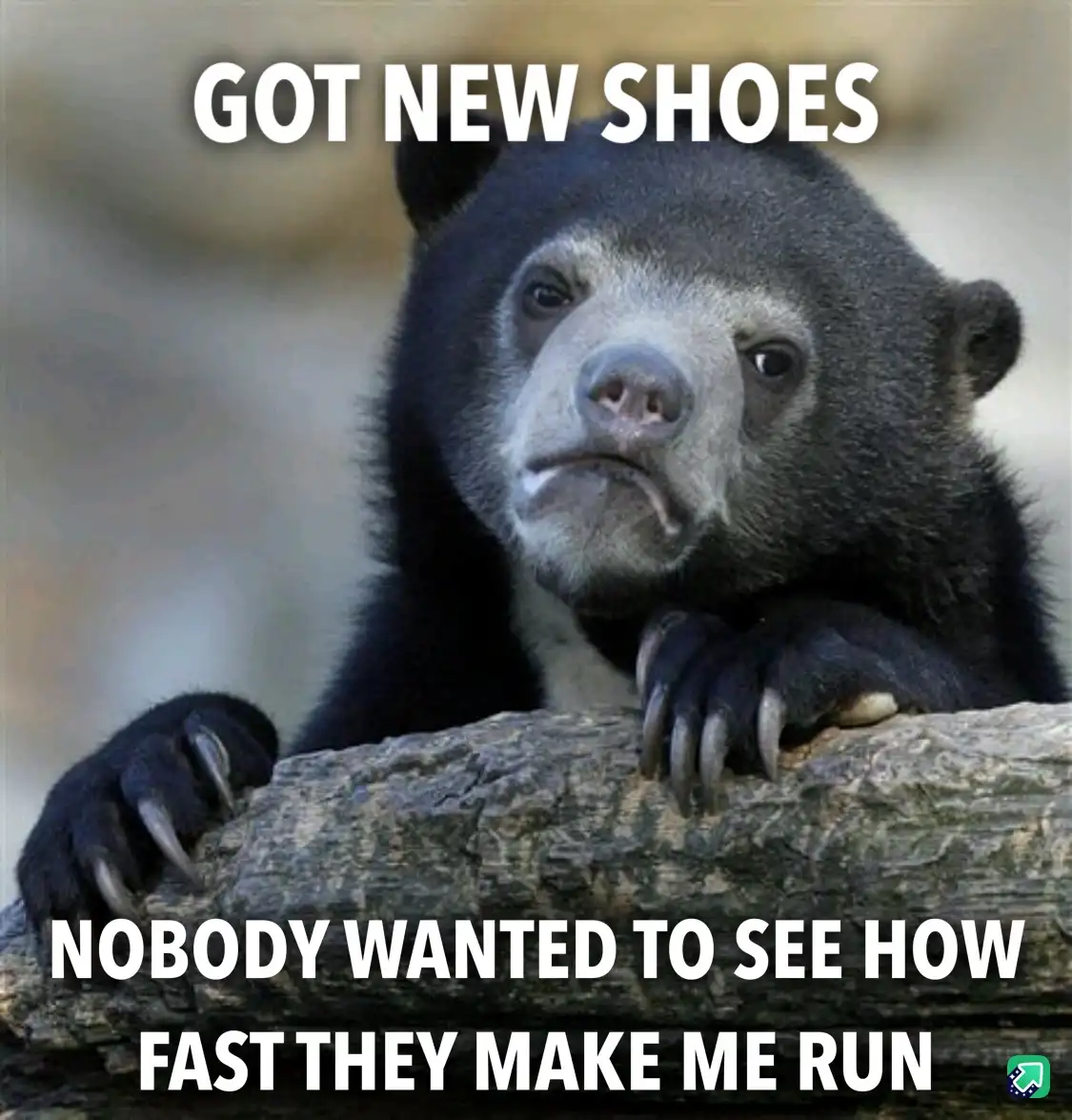 The harsh realities of adulthood