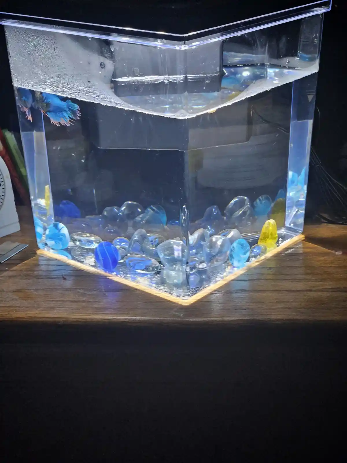 A small, clear plastic aquarium sits on a wooden surface, filled with water and decorated with blue and clear glass marbles…