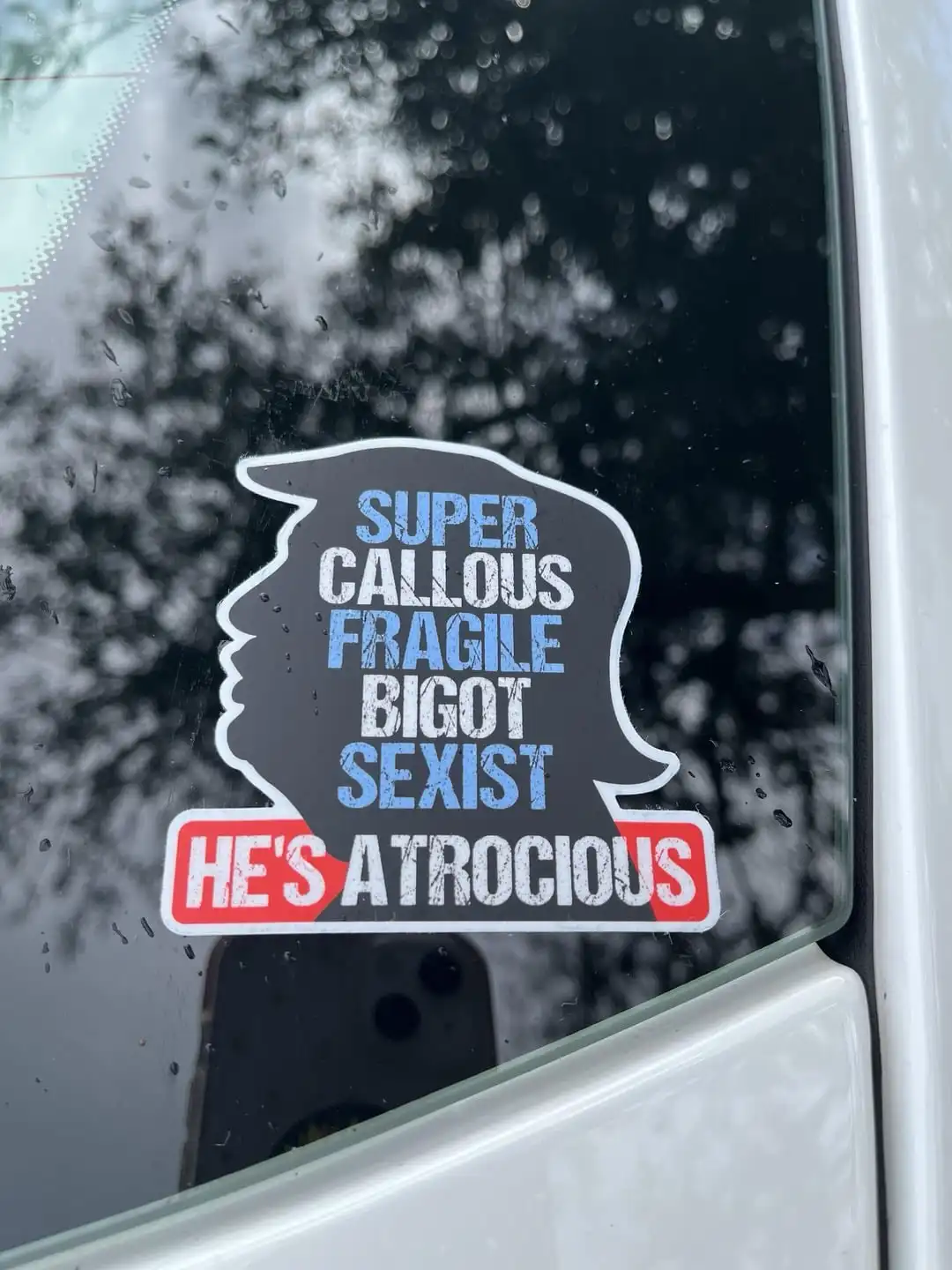 A sticker on a car window shaped like a man's profile silhouette lists negative traits like 'SUPER CALLIOUS', 'FRAGILE'…