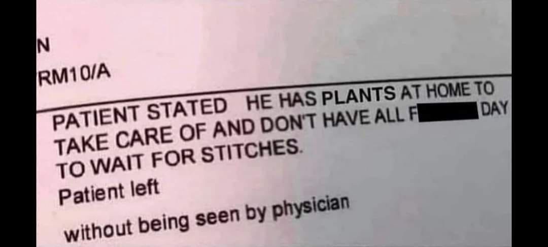 A close-up of a medical form with black text on white paper. The form states a patient claimed to have plants at home to…