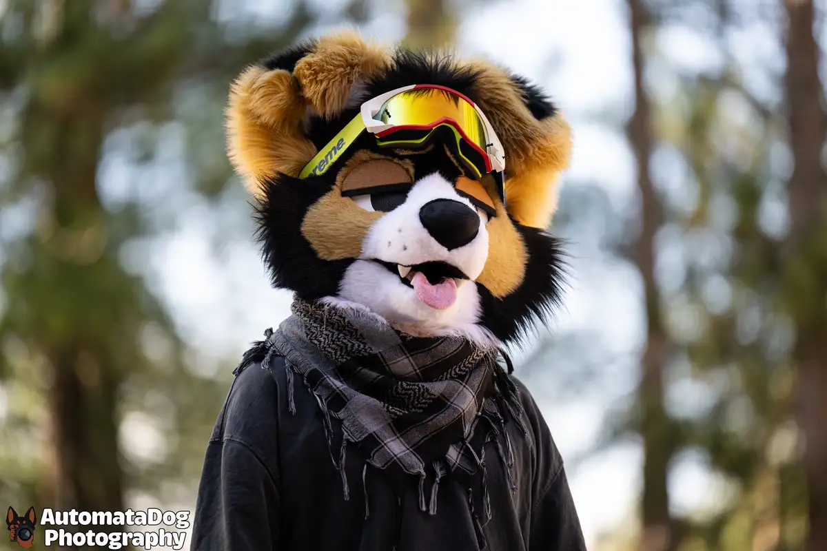 A person in a furry animal costume resembling a dog or fox with black, tan, and white fur, wearing ski goggles with a…