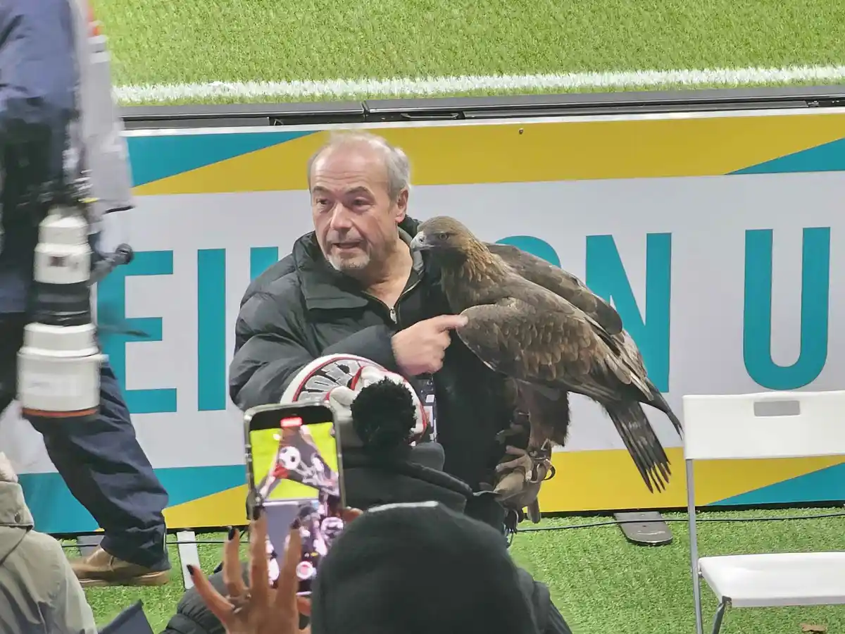 A man in a black jacket is holding a large brown bird of prey, likely a golden eagle, perched on his gloved hand. He is…