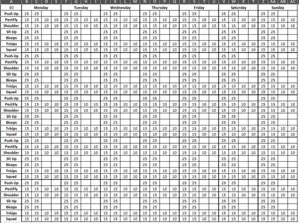 I've put together a workout plan: 50 reps for each exercise. Interested? I can send you the Excel file or tell you where to download it!