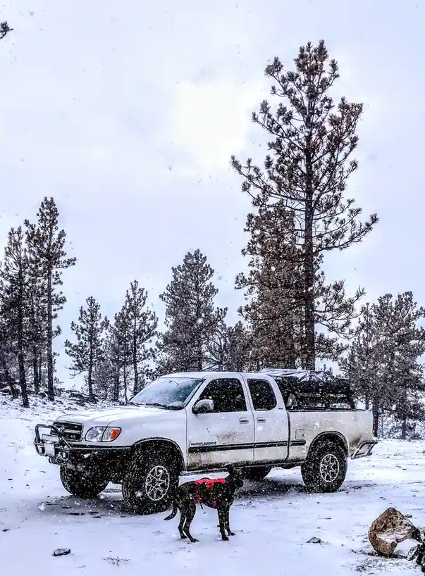 Skateboard Enthusiast: My Other Ride