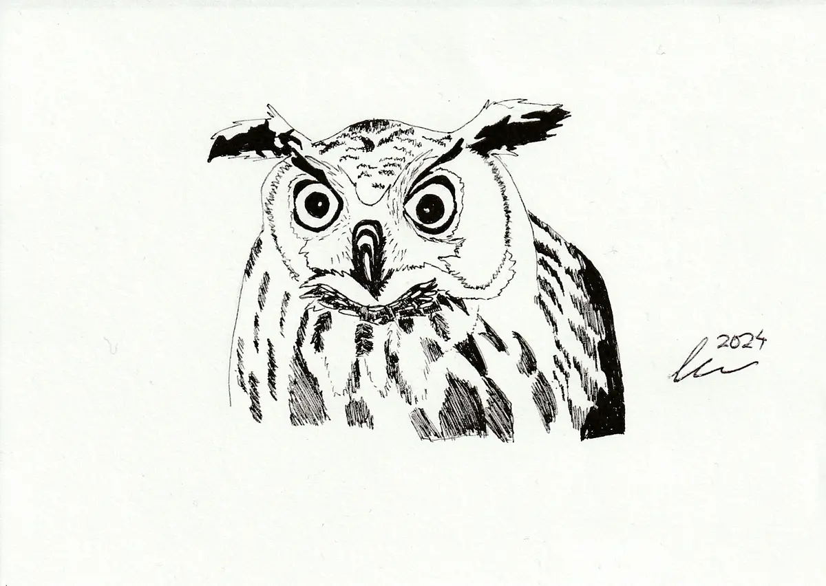 A black-and-white ink drawing of a cartoonish owl with large, round eyes, angry eyebrows, and feather tufts on its head…