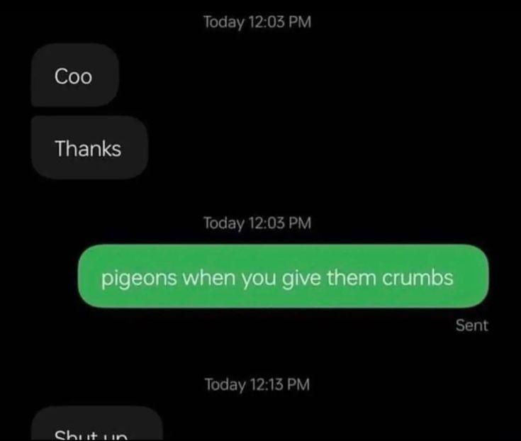 A screenshot of a text message conversation showing a user sending a green message bubble that reads 'pigeons when you give…