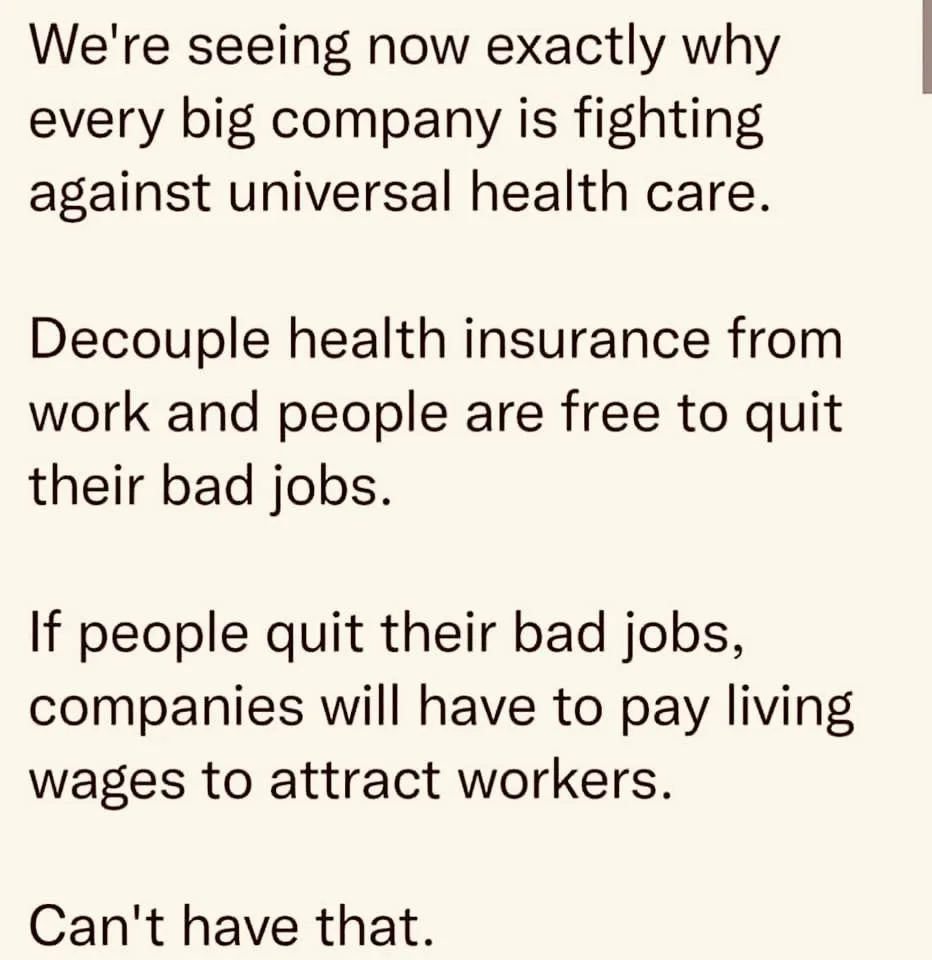 The image displays a plain beige background with black text arranged in four paragraphs. The text explains a cynical…