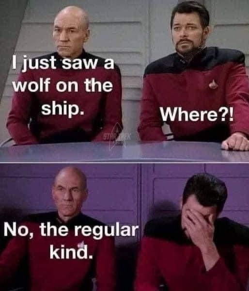 Two men in Starfleet uniforms sit at a table. The top panel shows one man saying 'I just saw a wolf on the ship.' while the…