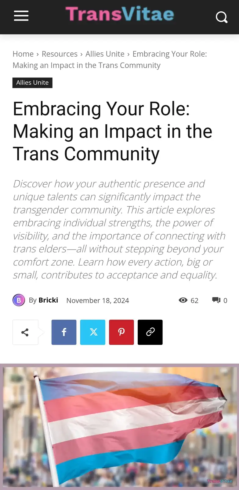 A screenshot of a TransVitae website article titled 'Embracing Your Role: Making an Impact in the Trans Community' by…